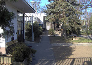 Sportkoli